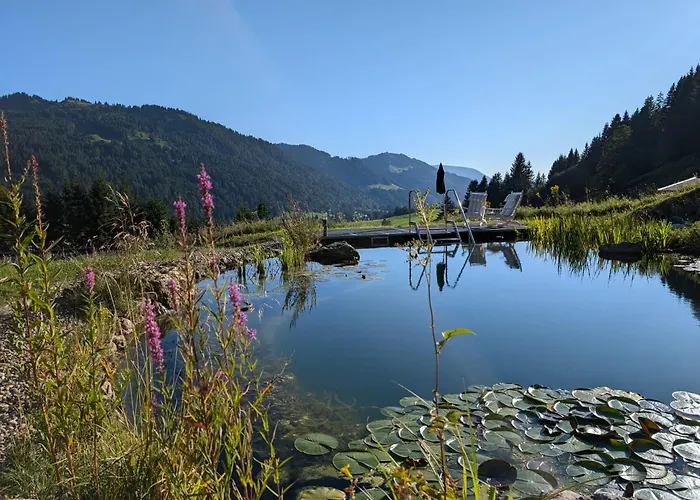 Alpenflair-chalets-balderschwang